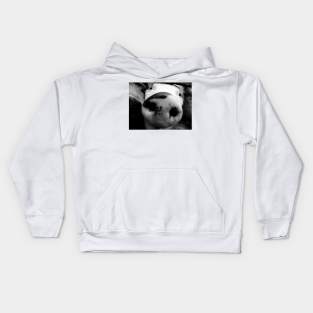 Smart Pig Kids Hoodie